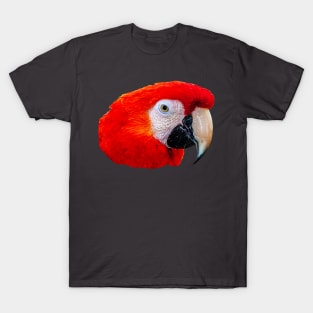 Scarlet Macaw T-Shirt